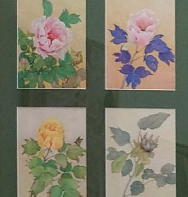 No.24 牡丹（輪廻） F30 日本画